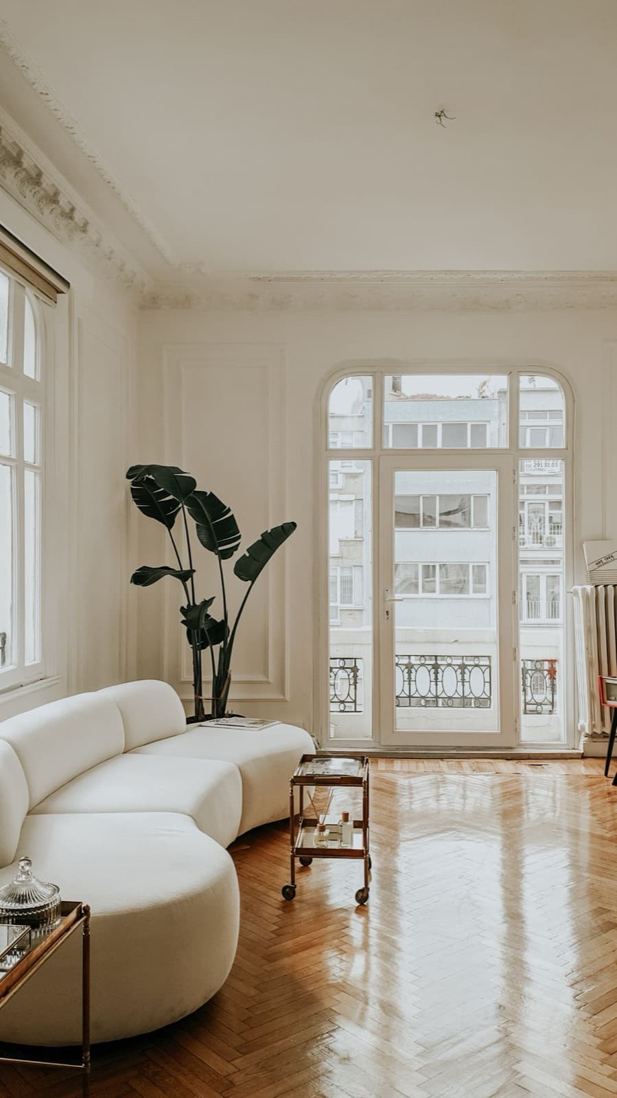 South-facing living rooms